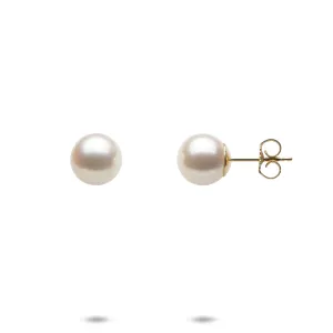 Akoya White Pearl Earrings in Gold - 8mm