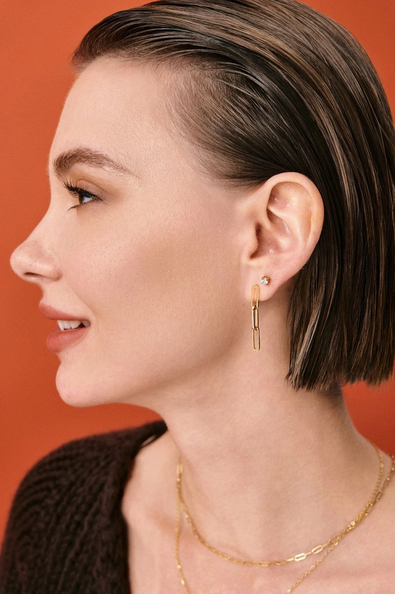 Drop The Link Earrings